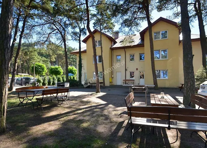 Czarny Bursztyn