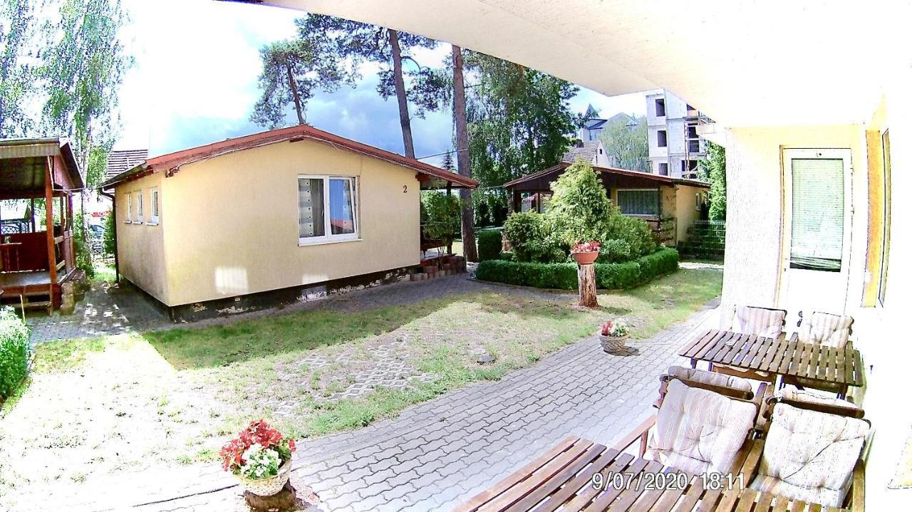 Czarny Bursztyn
